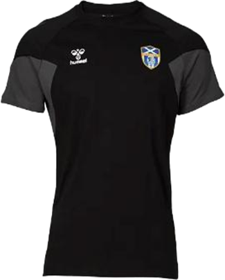 CAMISA HOTEL CT 24/25 (CAJA 16)